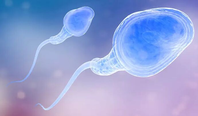 Spermie mohou být přítomny v mužském pre-ejakulátu