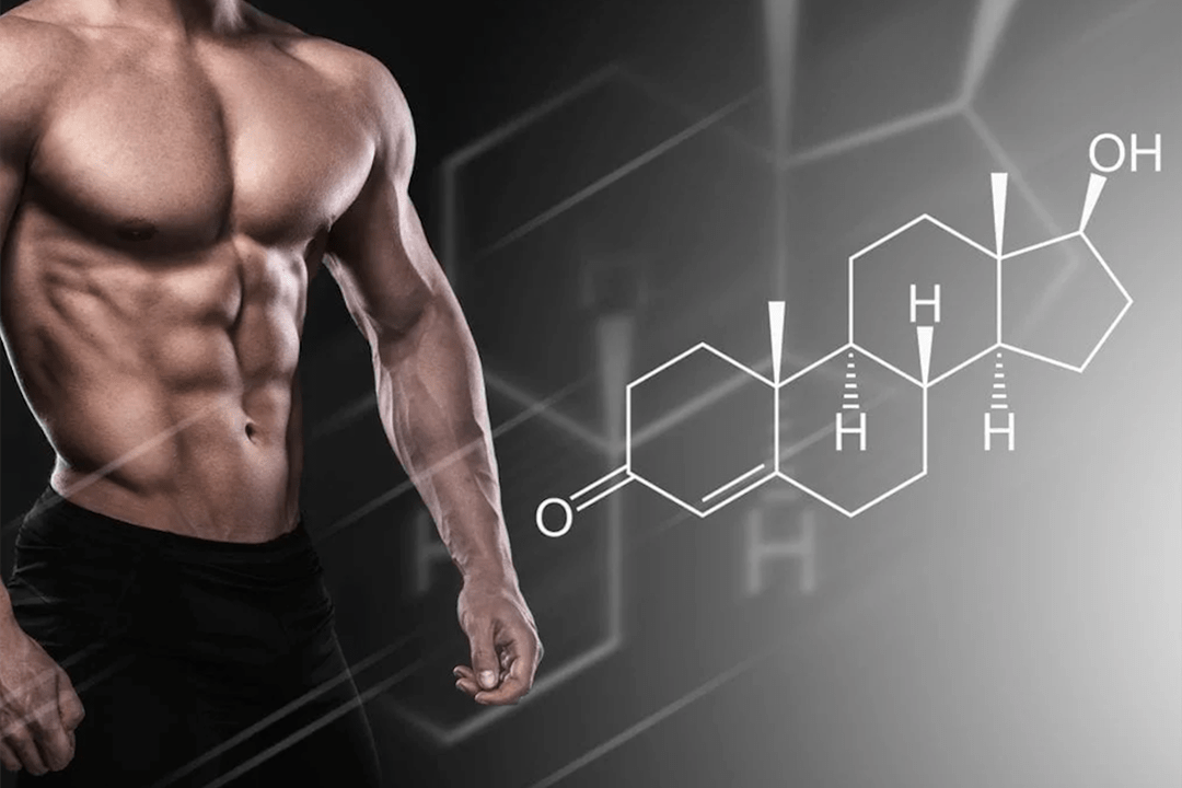 testosteron u mužů jako stimulant potence